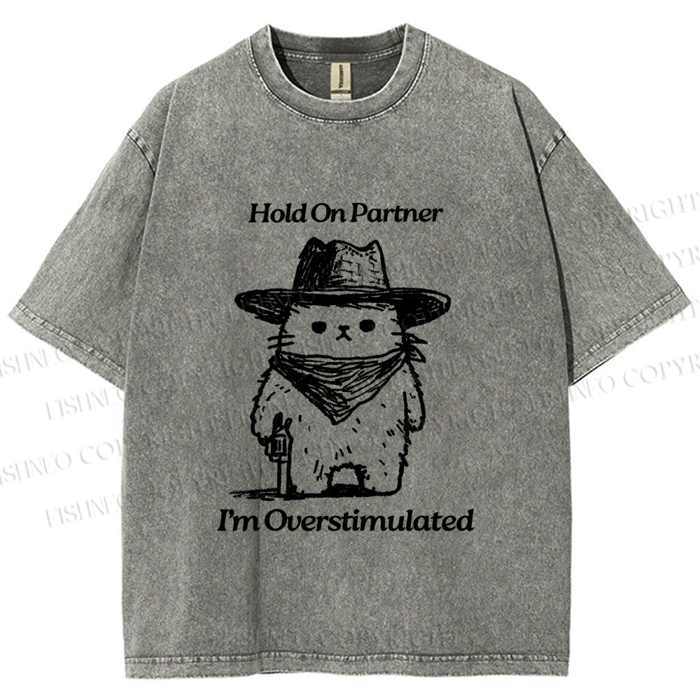 Unisex Overstimulated Cowboy Cat Printed Washed Tee