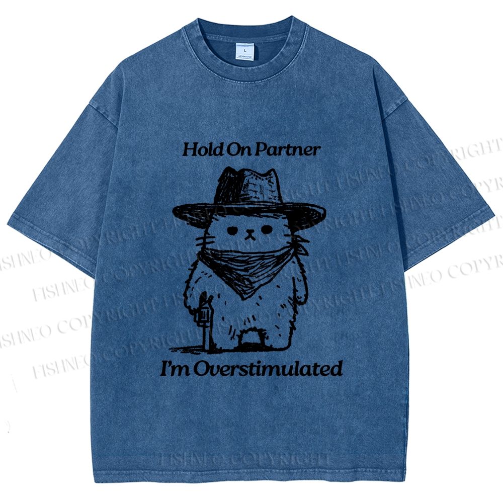 Unisex Overstimulated Cowboy Cat Printed Washed Tee