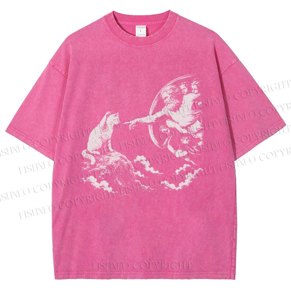 Unisex Divine Feline Heavenly Encounter Printed Washed Tee