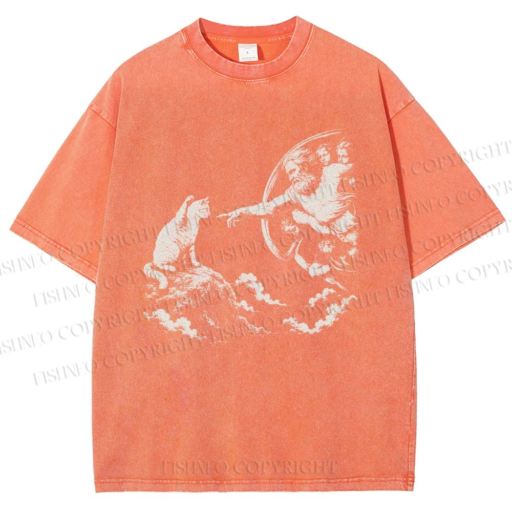 Unisex Divine Feline Heavenly Encounter Printed Washed Tee