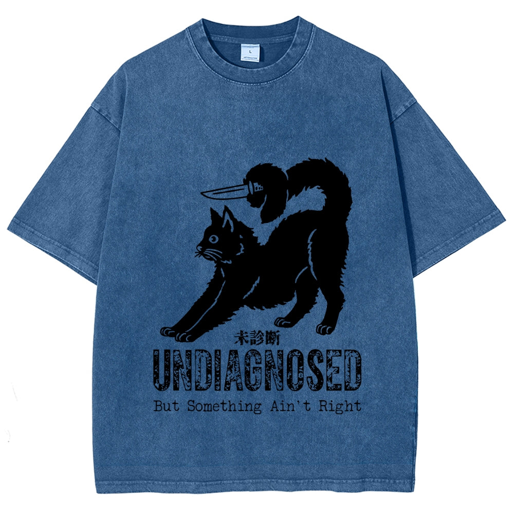 Undiagnosed Cat Funny Meme Vintage Washed T-shirt