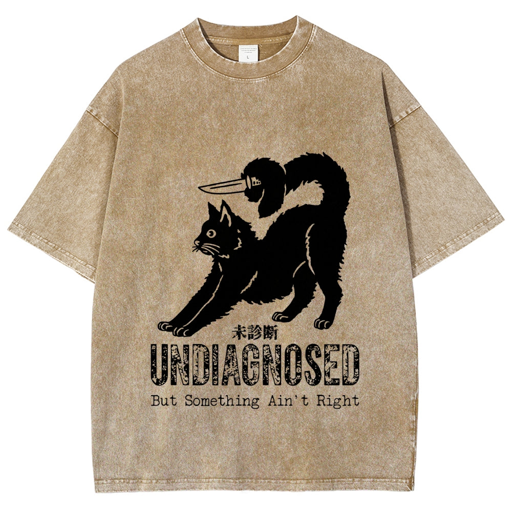Undiagnosed Cat Funny Meme Vintage Washed T-shirt