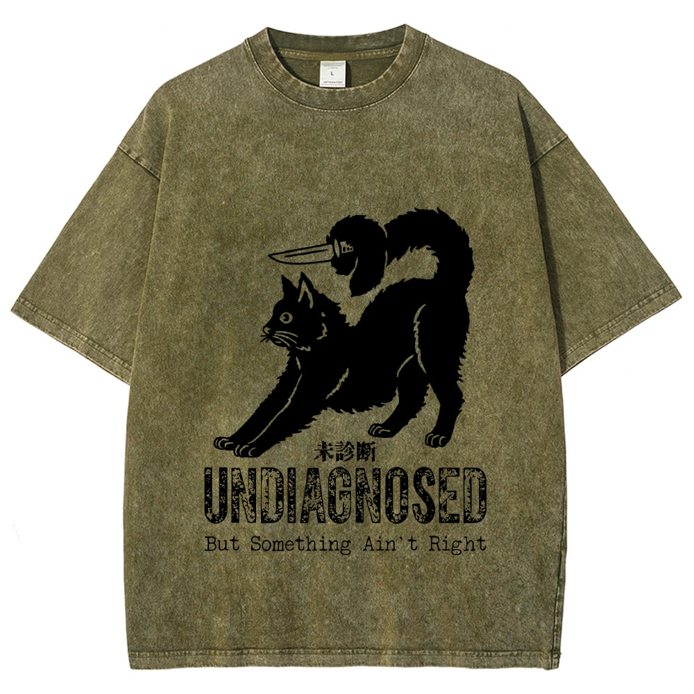 Undiagnosed Cat Funny Meme Vintage Washed T-shirt