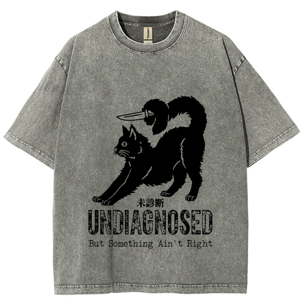 Undiagnosed Cat Funny Meme Vintage Washed T-shirt