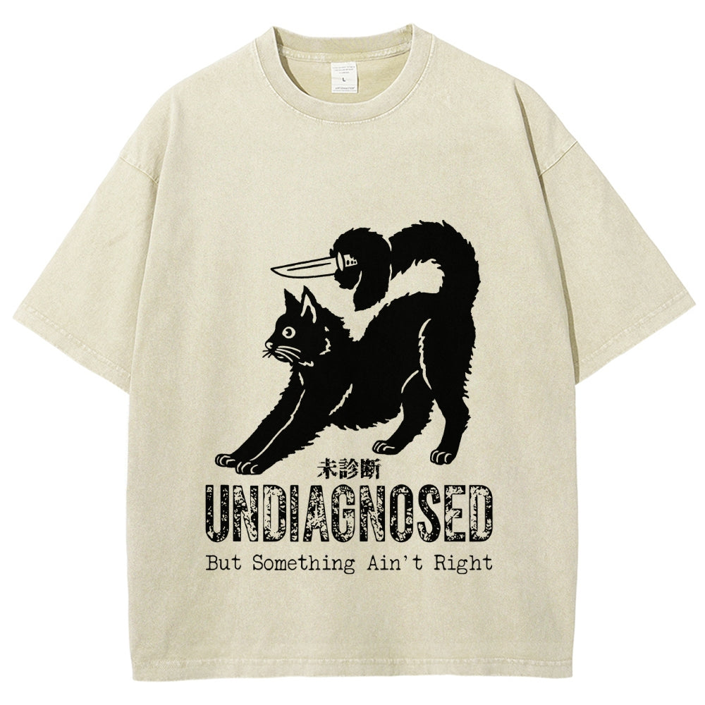 Undiagnosed Cat Funny Meme Vintage Washed T-shirt