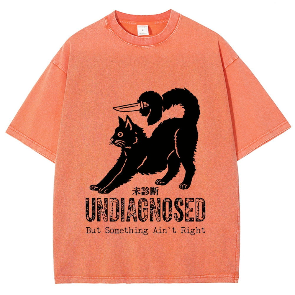 Undiagnosed Cat Funny Meme Vintage Washed T-shirt