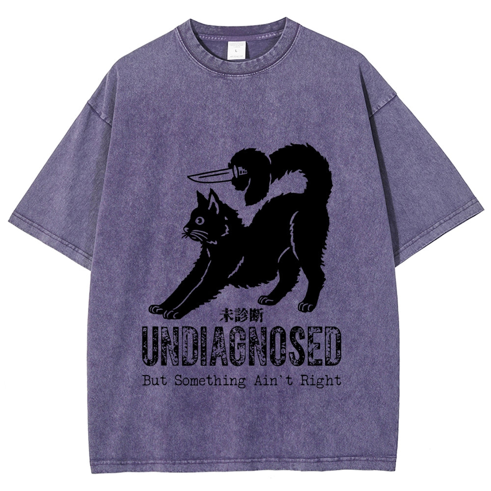 Undiagnosed Cat Funny Meme Vintage Washed T-shirt