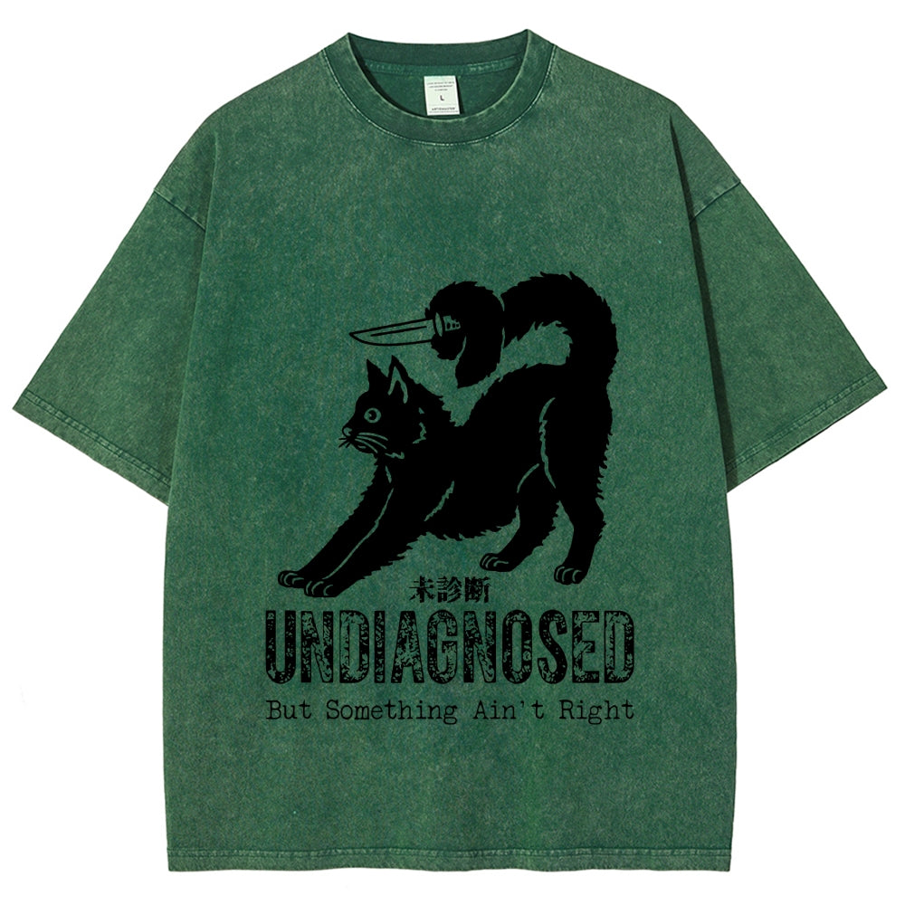 Undiagnosed Cat Funny Meme Vintage Washed T-shirt