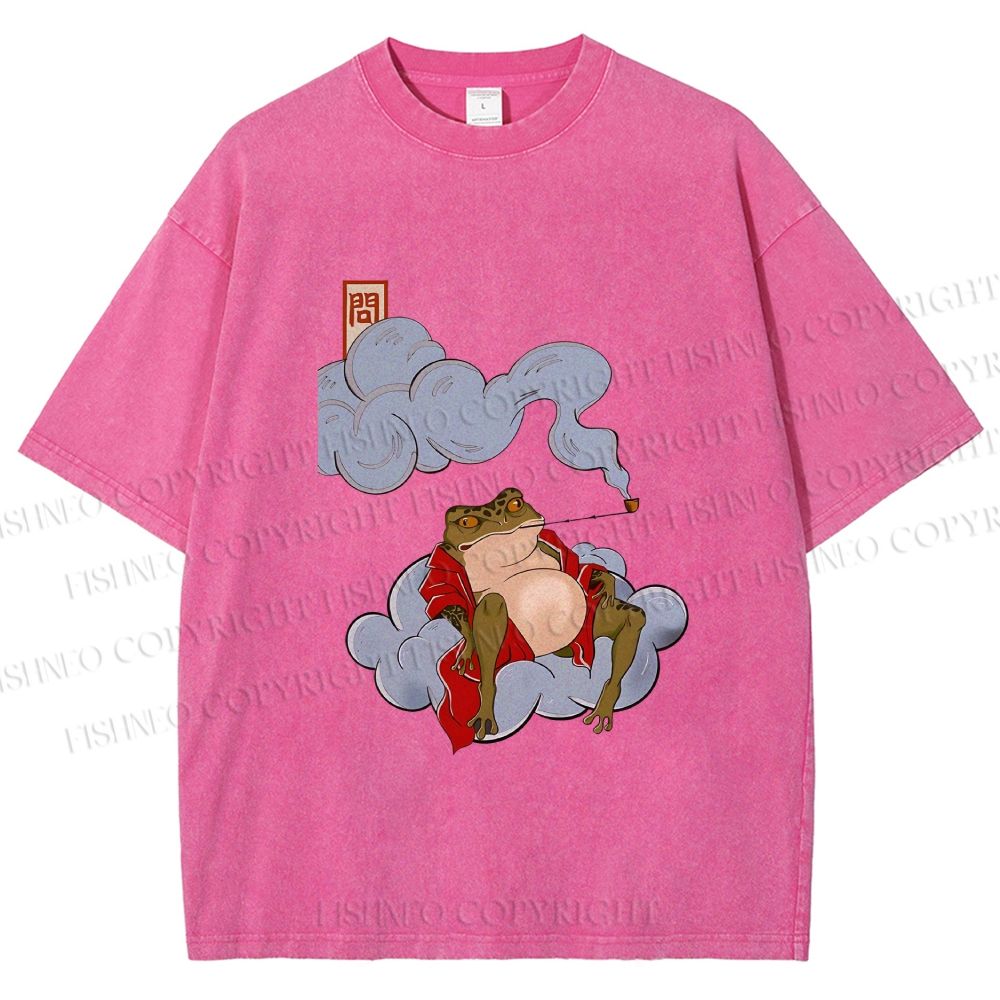 Unisex Japanese Frog Relaxing in Clouds Printed Washed Tee