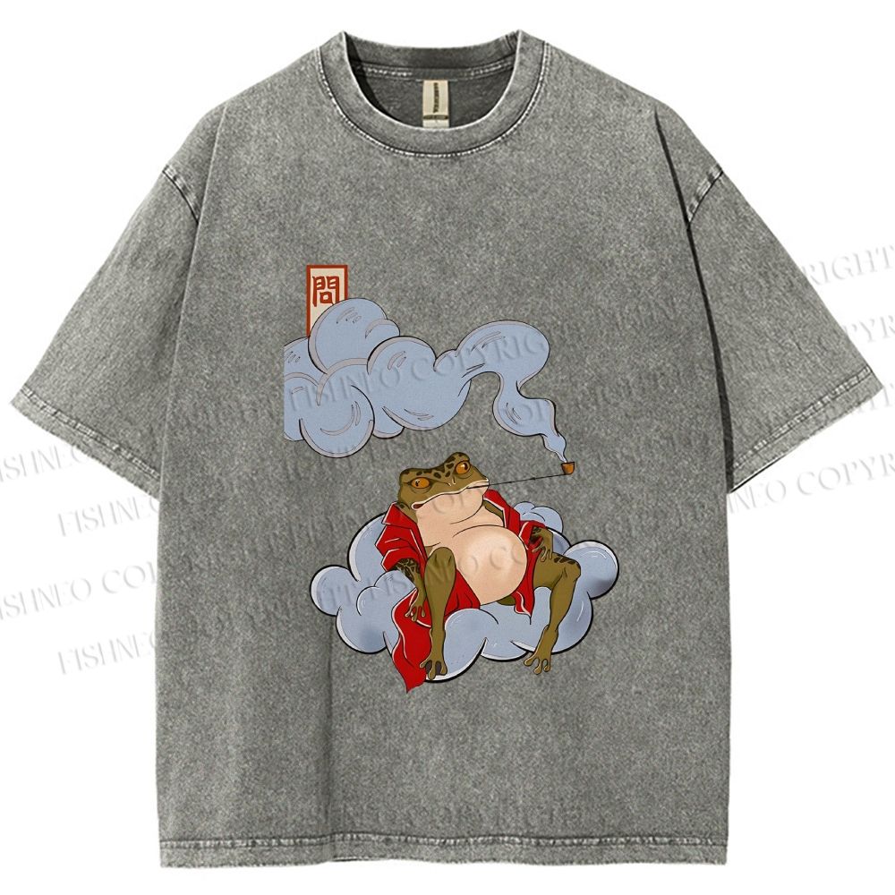 Unisex Japanese Frog Relaxing in Clouds Printed Washed Tee