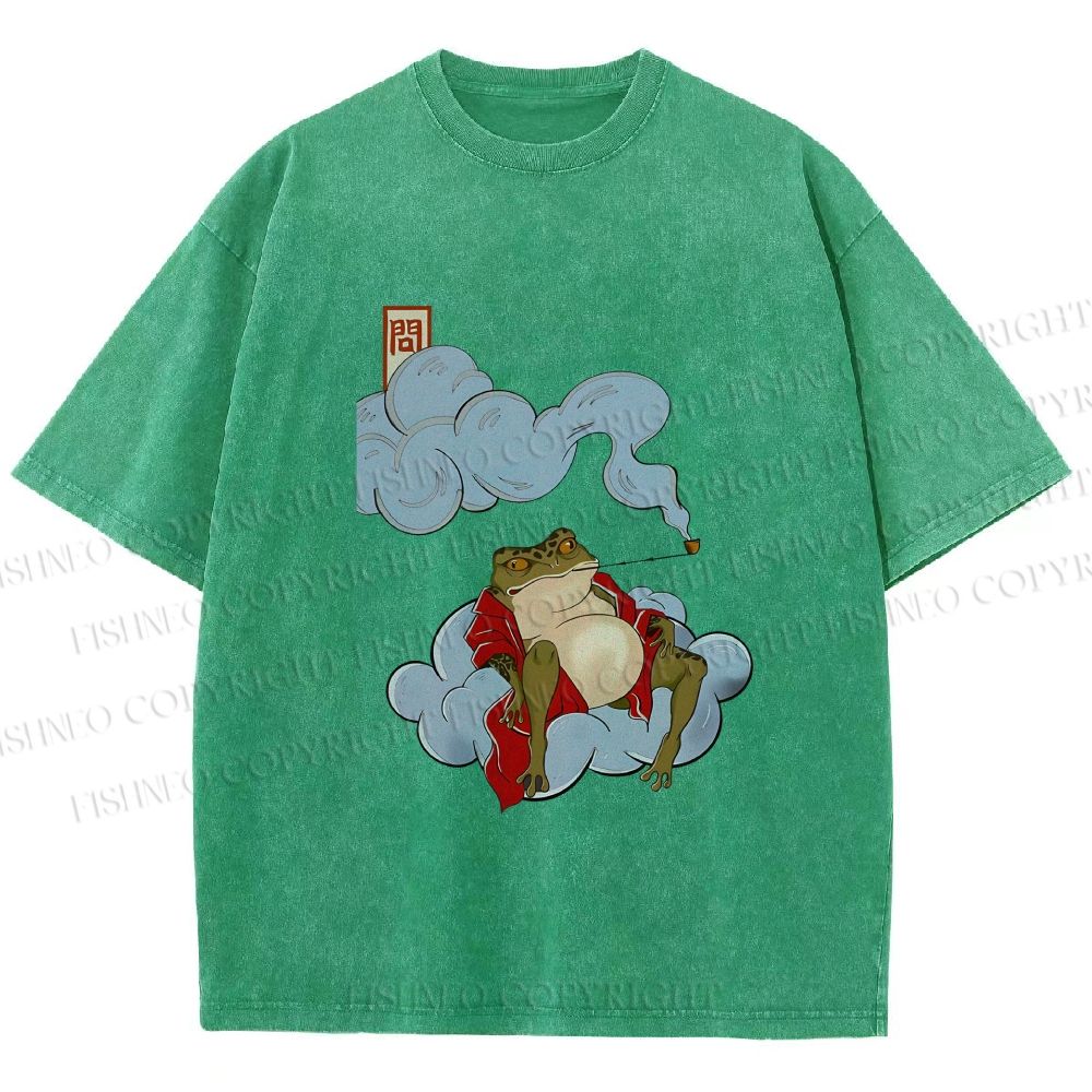 Unisex Japanese Frog Relaxing in Clouds Printed Washed Tee