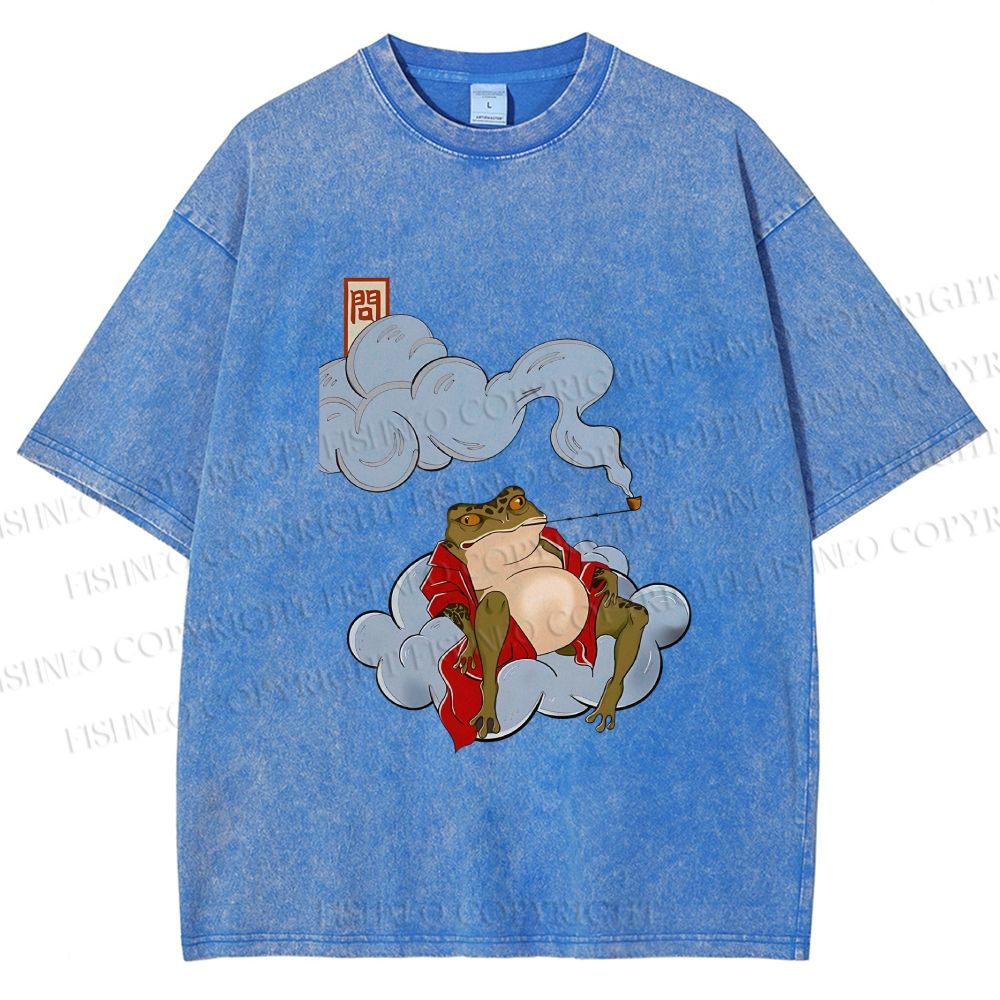 Unisex Japanese Frog Relaxing in Clouds Printed Washed Tee