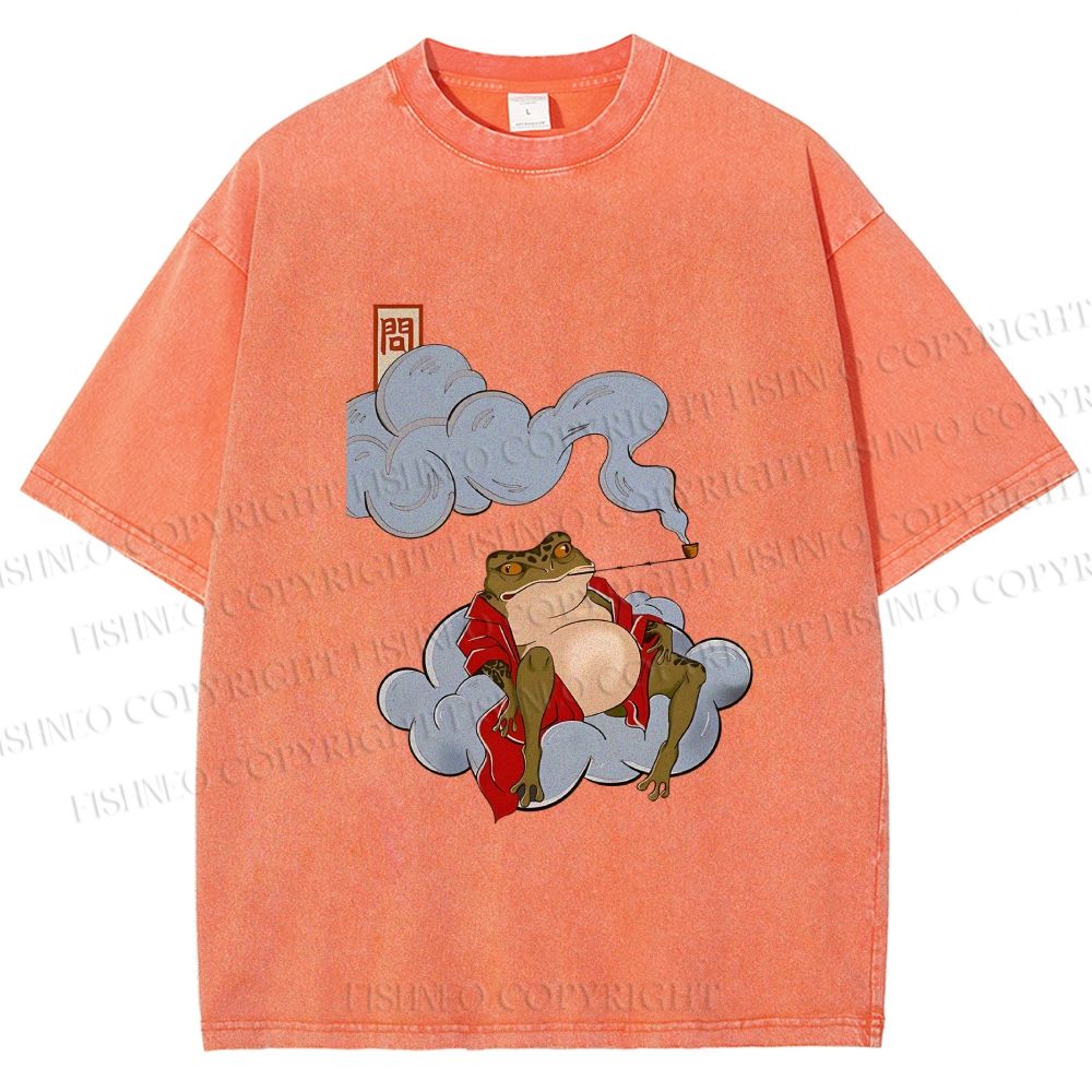 Unisex Japanese Frog Relaxing in Clouds Printed Washed Tee