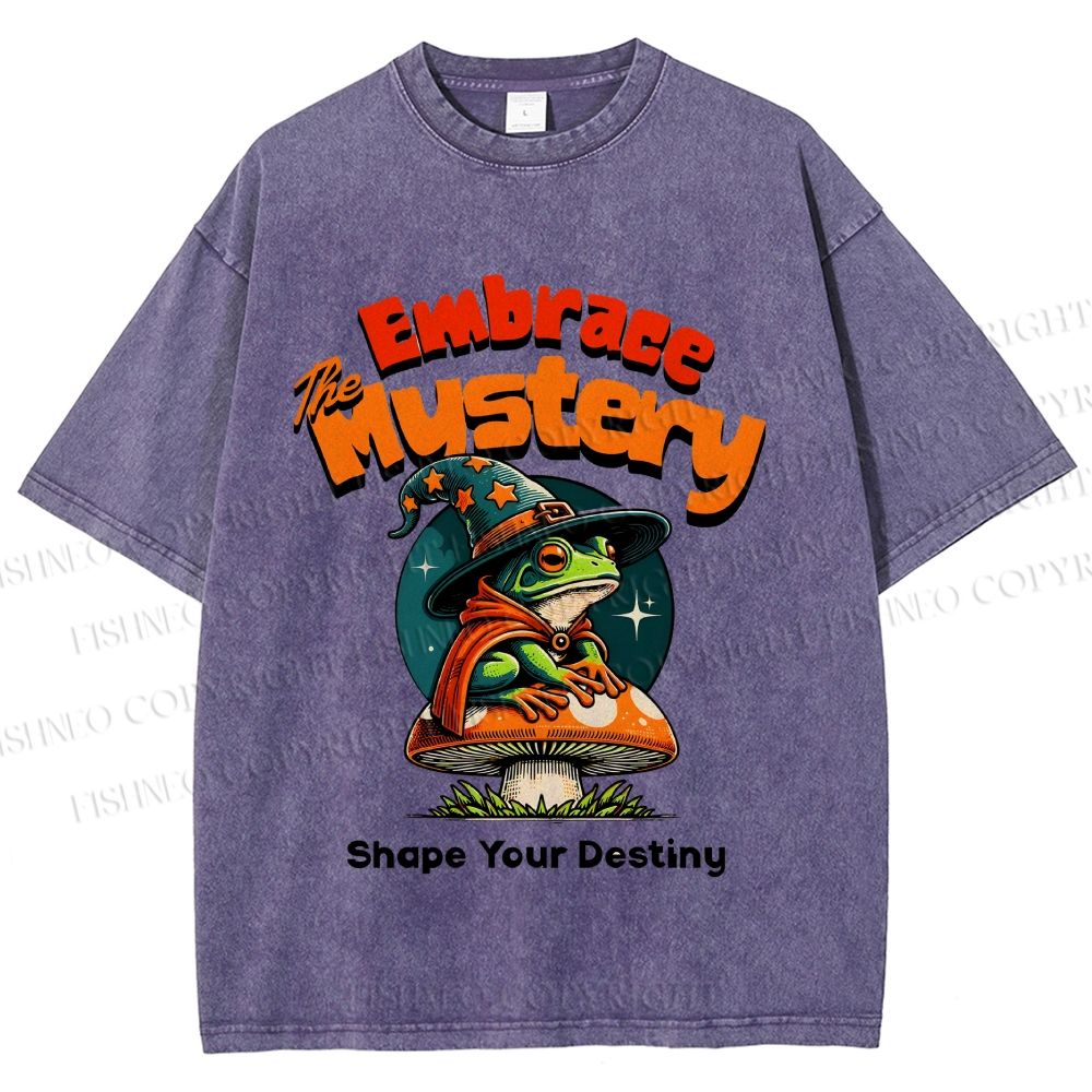 Unisex Wizard Frog Printed Washed Tee