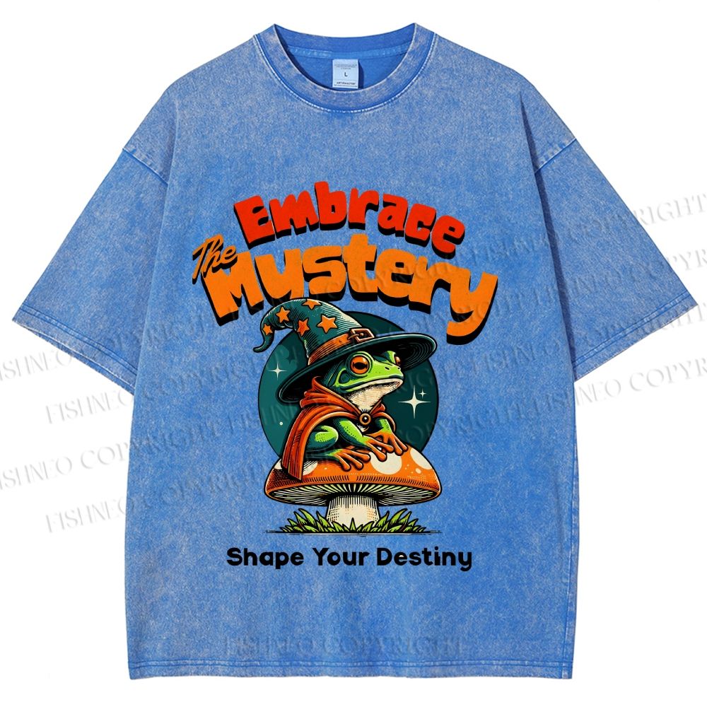 Unisex Wizard Frog Printed Washed Tee