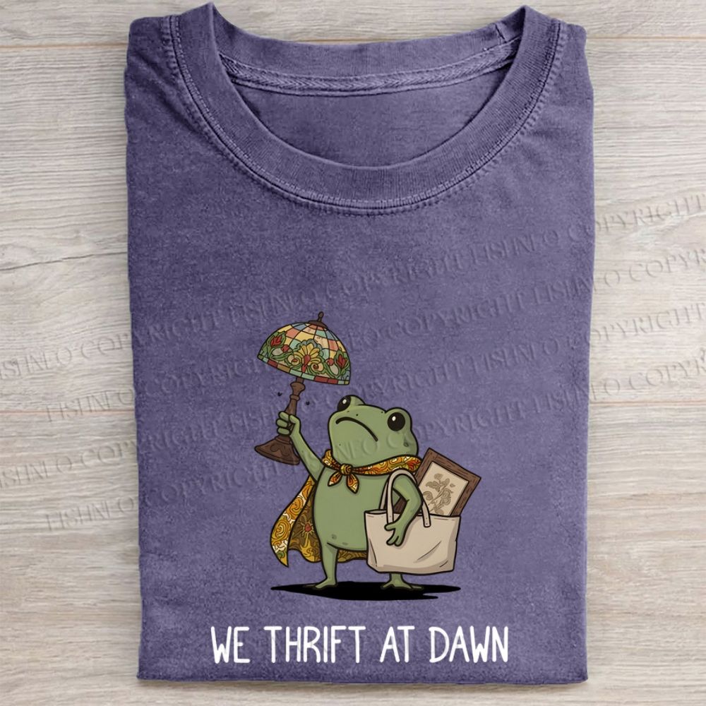Safe Haven Thrift Store Washed Folded T-shirt