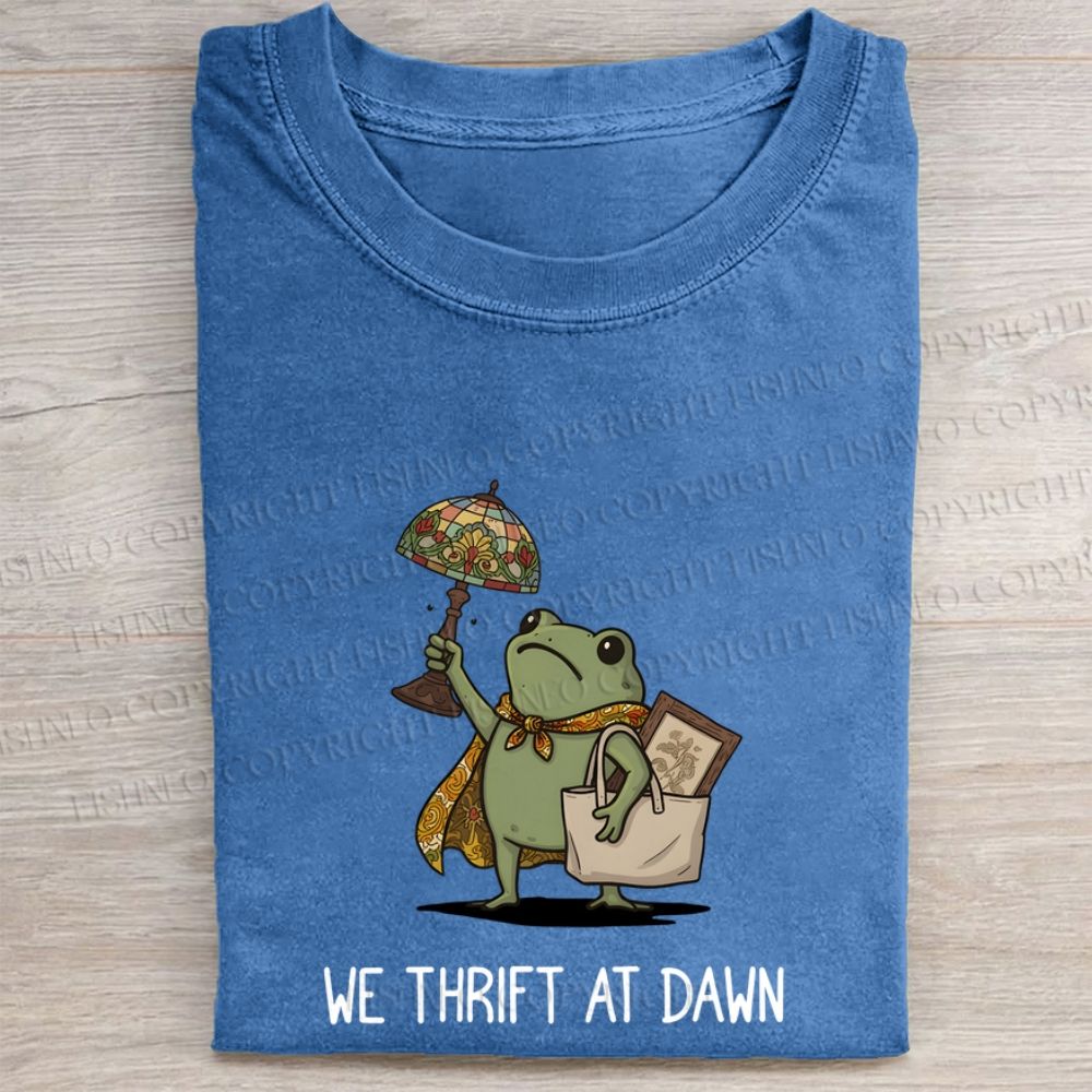 Safe Haven Thrift Store Washed Folded T-shirt