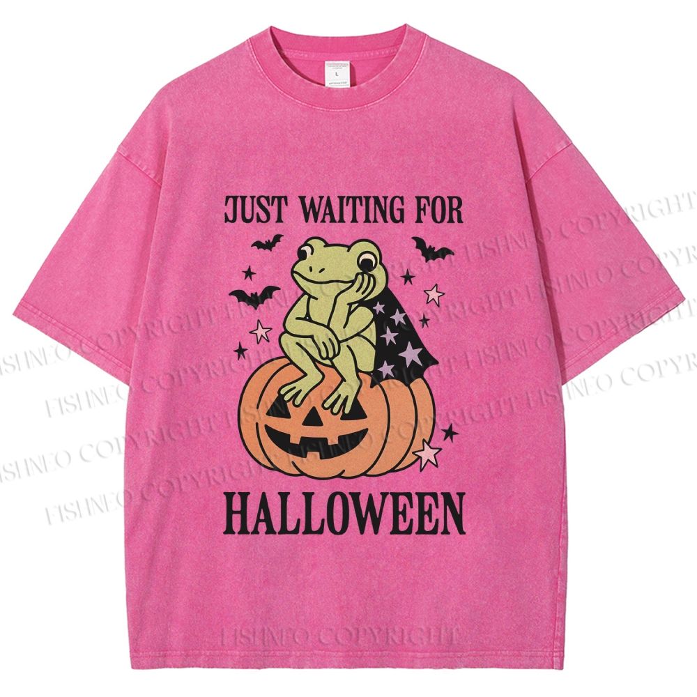 Unisex Halloween Frog Printed Washed Tee