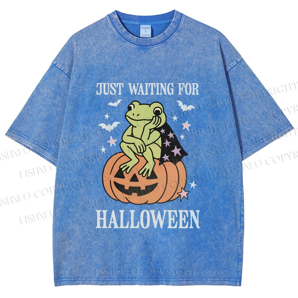 Unisex Halloween Frog Printed Washed Tee