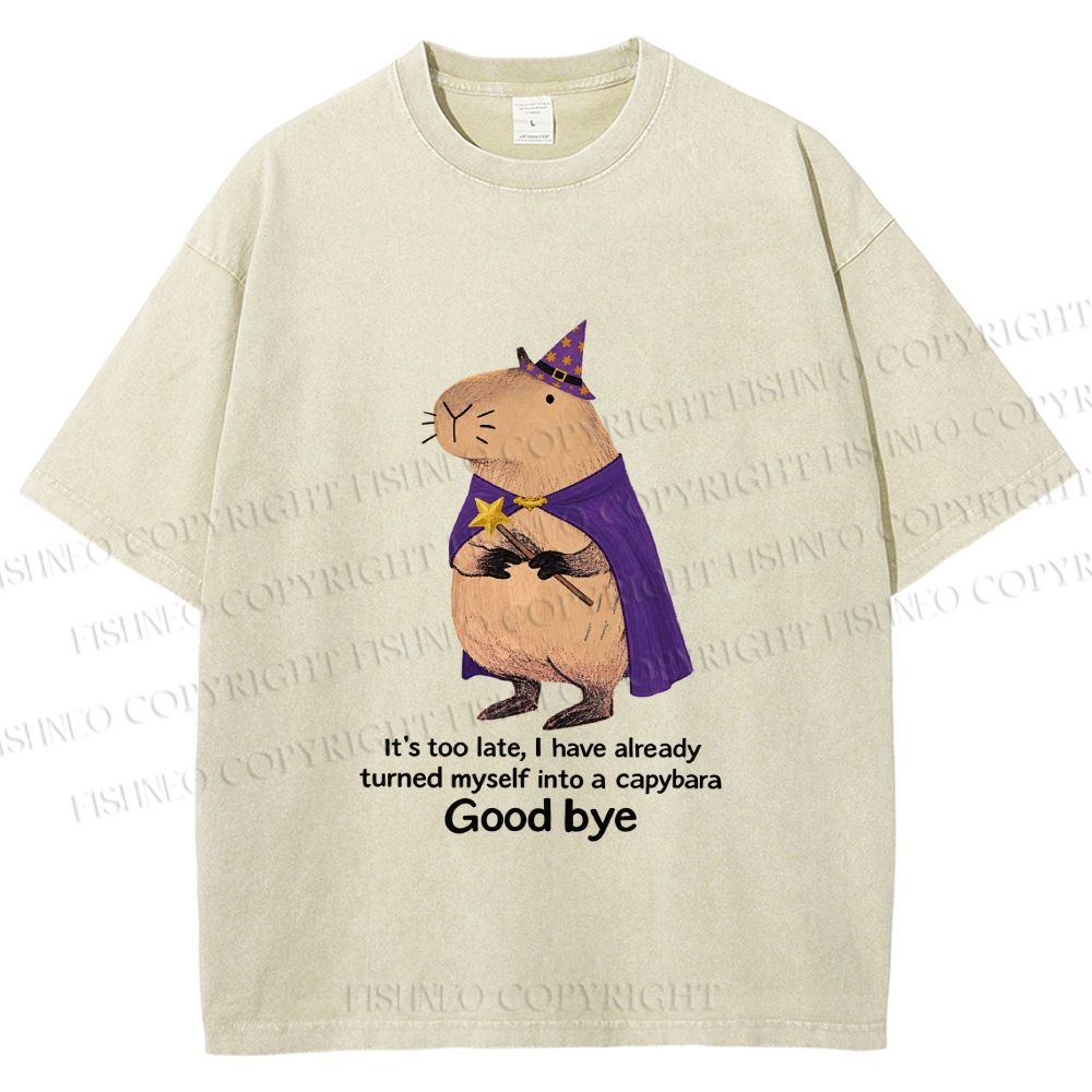 Unisex Funny Wizard Capybara Printed Washed Tee