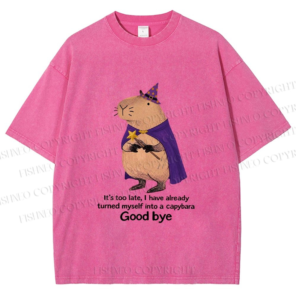 Unisex Funny Wizard Capybara Printed Washed Tee