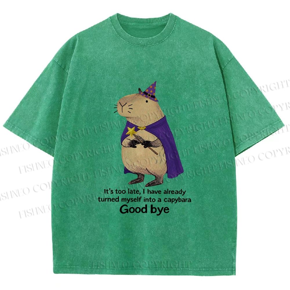 Unisex Funny Wizard Capybara Printed Washed Tee