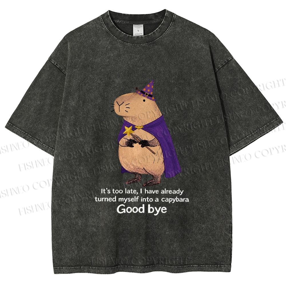Unisex Funny Wizard Capybara Printed Washed Tee
