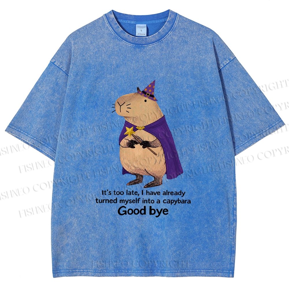Unisex Funny Wizard Capybara Printed Washed Tee