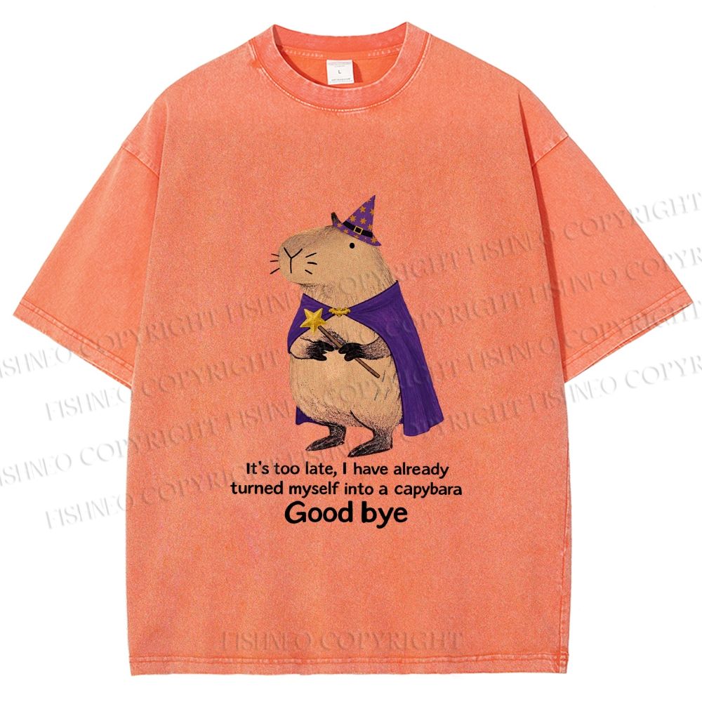 Unisex Funny Wizard Capybara Printed Washed Tee