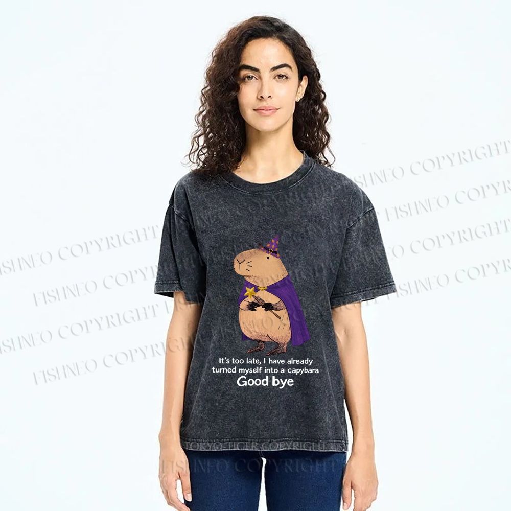 Unisex Funny Wizard Capybara Printed Washed Tee
