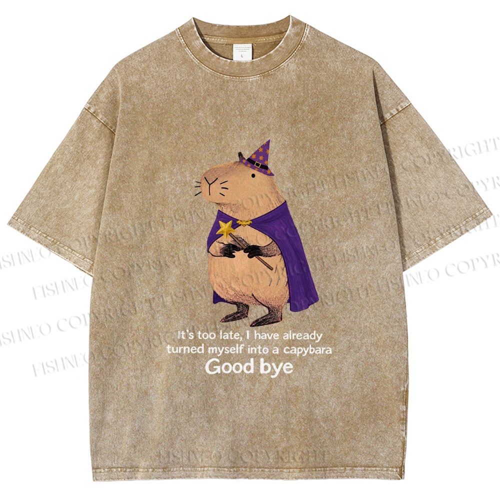 Unisex Funny Wizard Capybara Printed Washed Tee