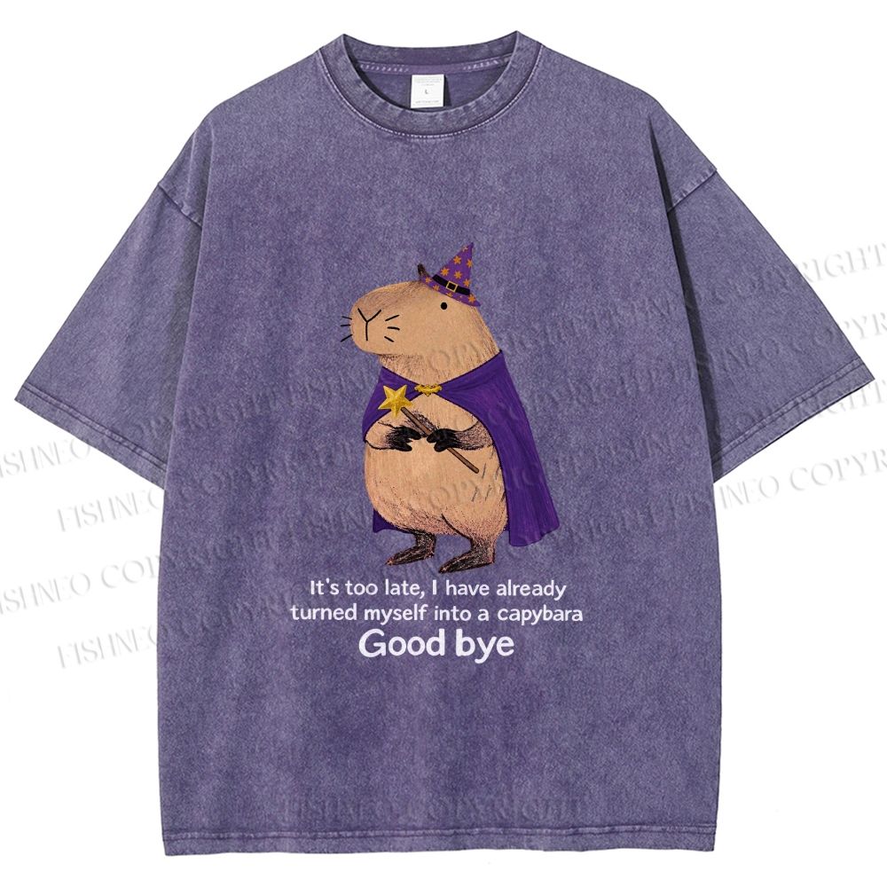 Unisex Funny Wizard Capybara Printed Washed Tee