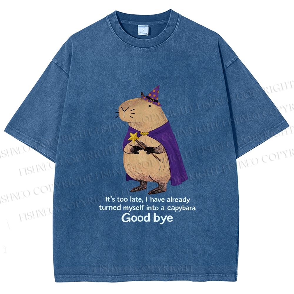 Unisex Funny Wizard Capybara Printed Washed Tee