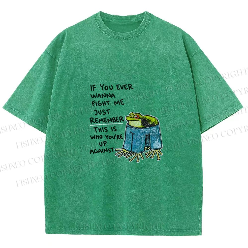 Unisex Frog Fight Meme Printed Washed Tee