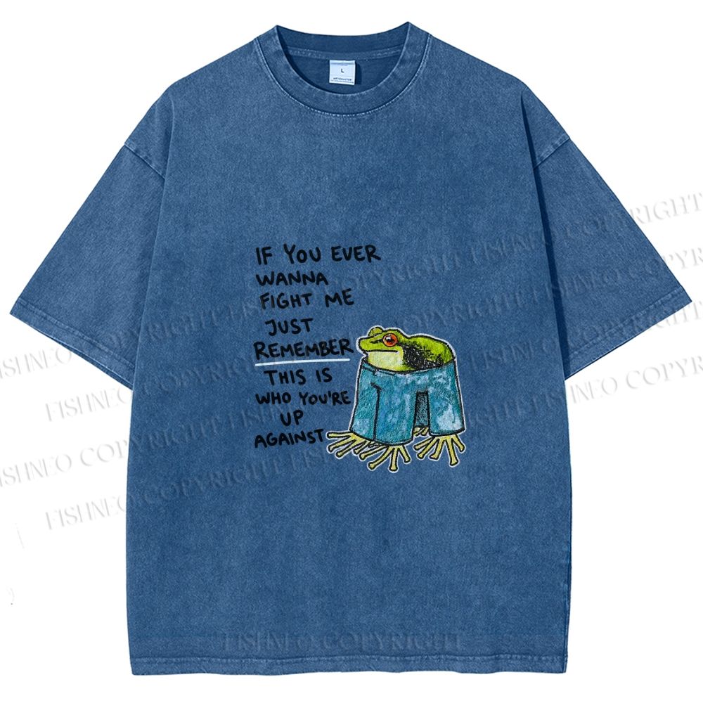 Unisex Frog Fight Meme Printed Washed Tee