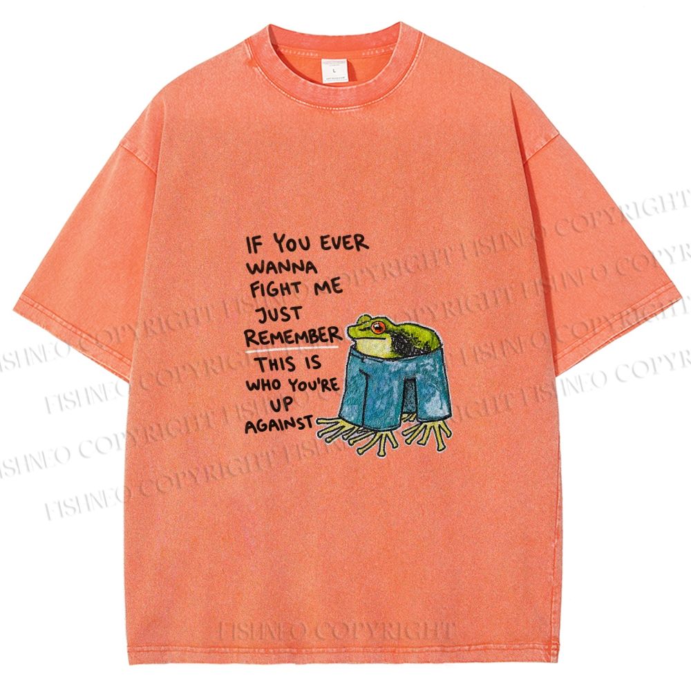 Unisex Frog Fight Meme Printed Washed Tee