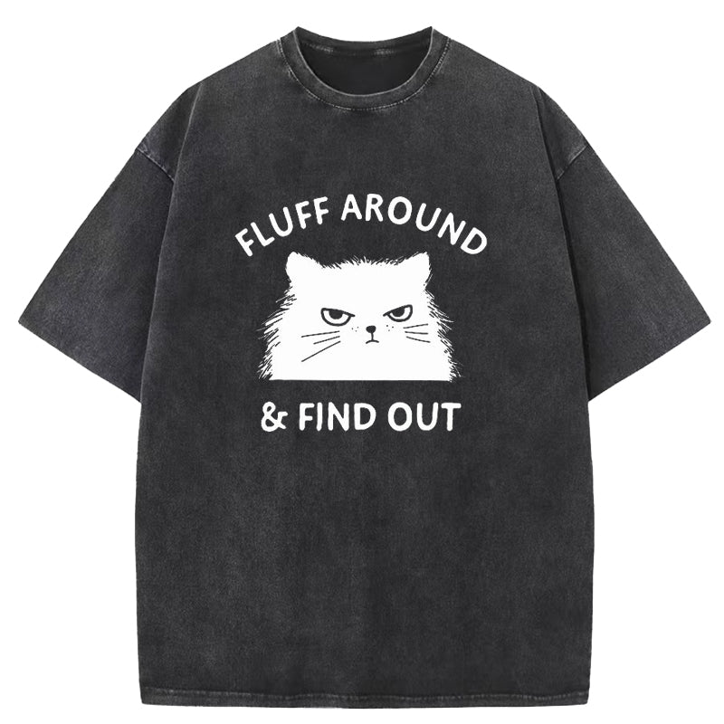 Fluff Around & Find Out Washed T-Shirt