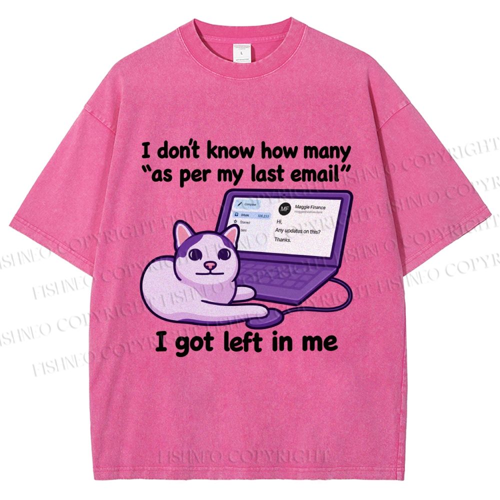 Unisex Funny Cat Email Printed Washed Tee
