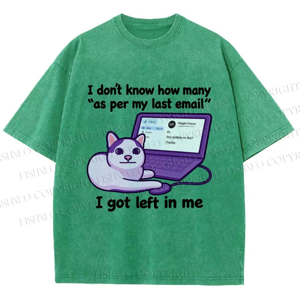 Unisex Funny Cat Email Printed Washed Tee