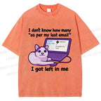 Unisex Funny Cat Email Printed Washed Tee