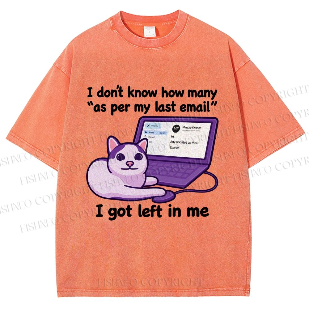 Unisex Funny Cat Email Printed Washed Tee