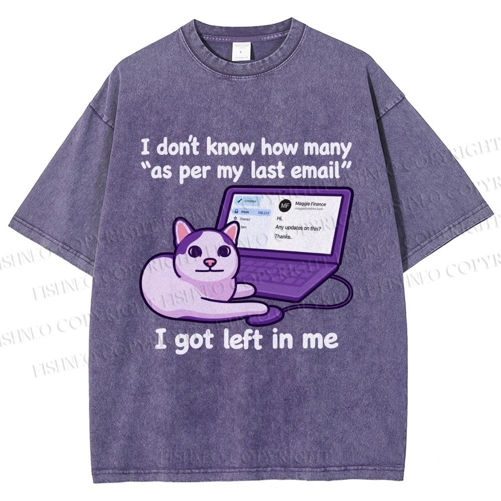 Unisex Funny Cat Email Printed Washed Tee