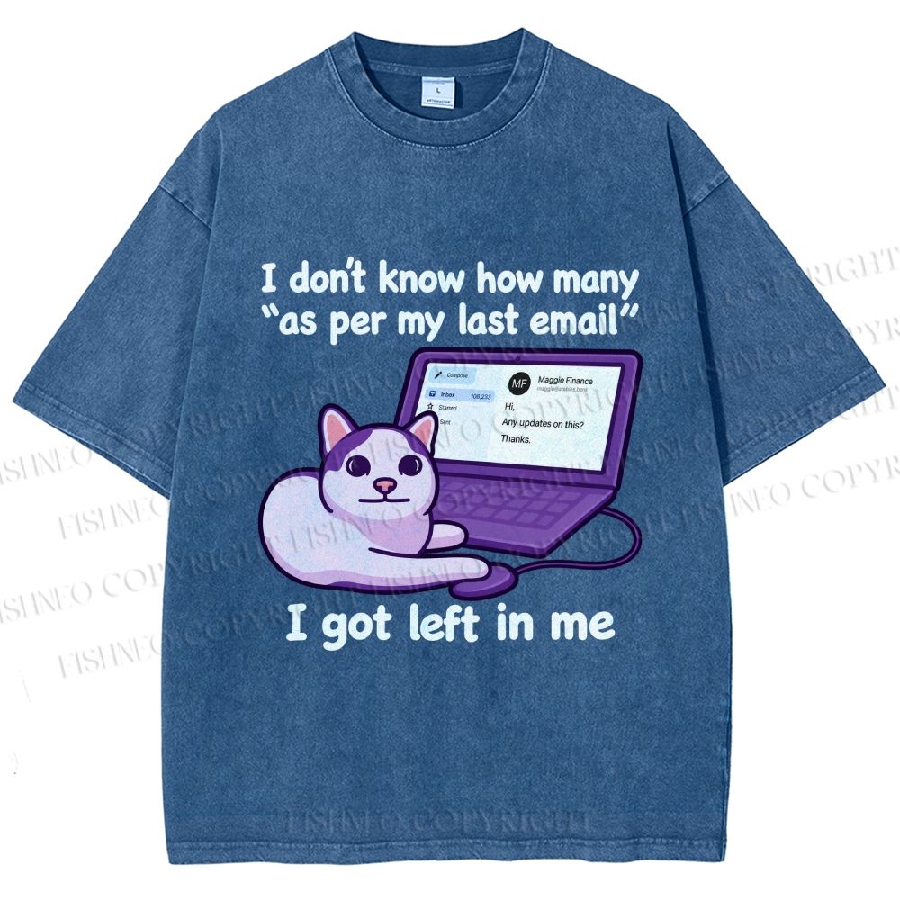 Unisex Funny Cat Email Printed Washed Tee
