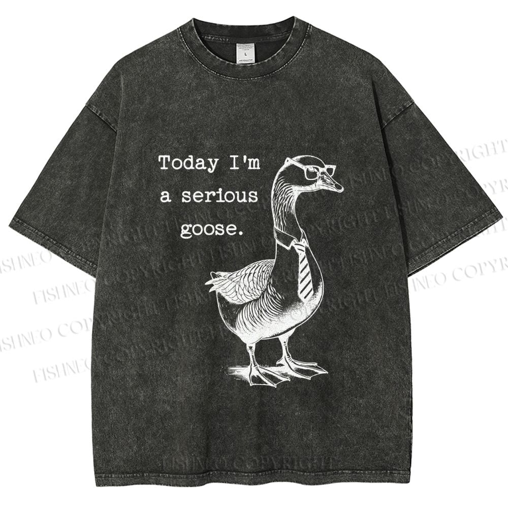 Unisex Serious Goose Printed Washed Tee