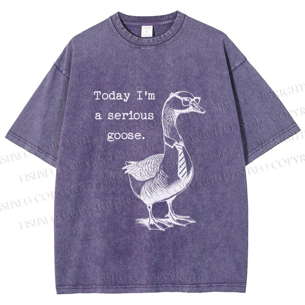 Unisex Serious Goose Printed Washed Tee