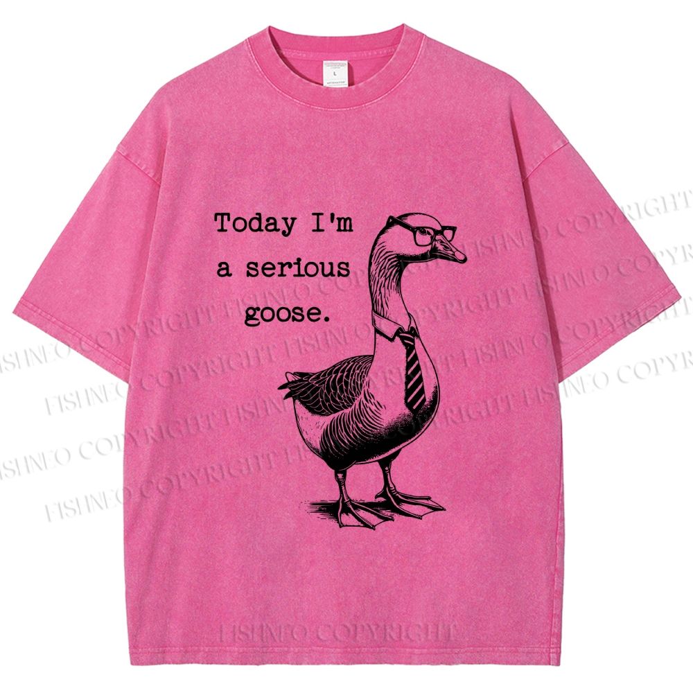 Unisex Serious Goose Printed Washed Tee