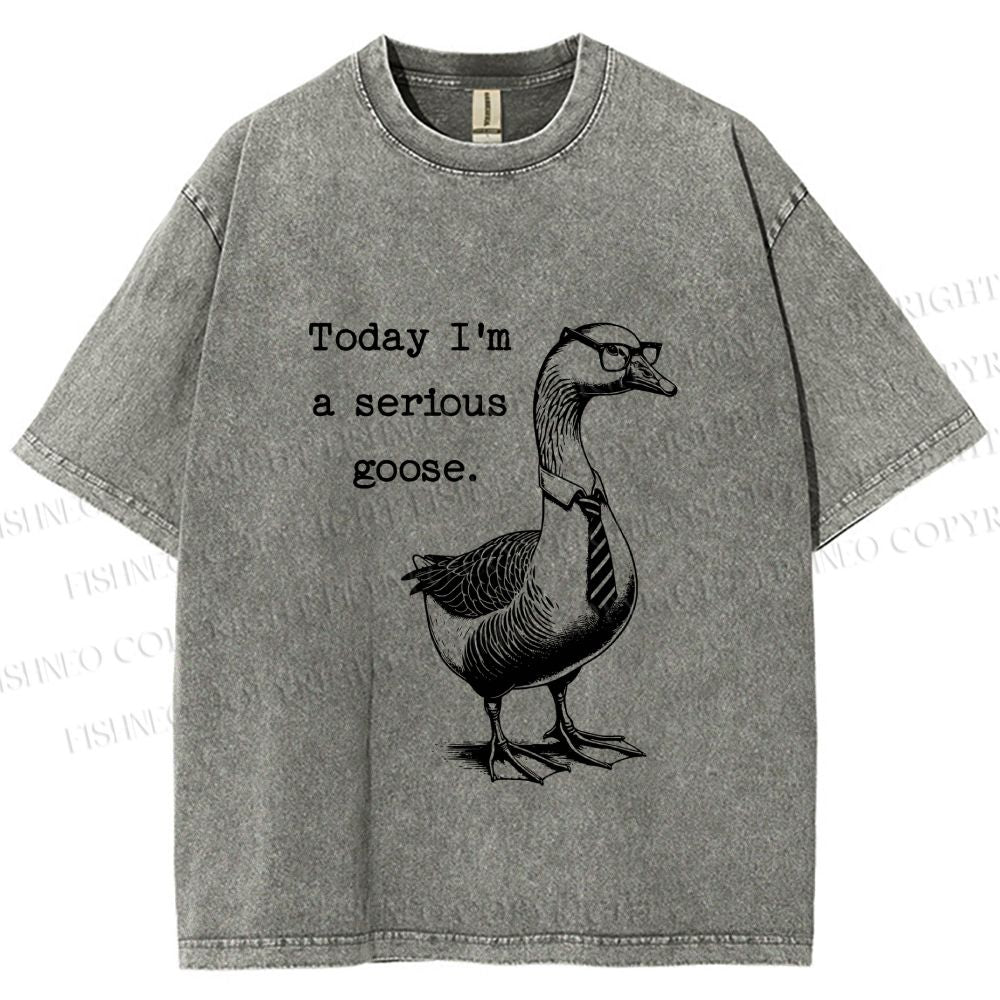 Unisex Serious Goose Printed Washed Tee