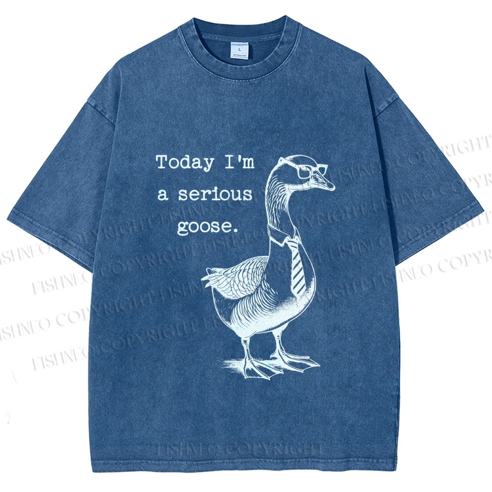 Unisex Serious Goose Printed Washed Tee