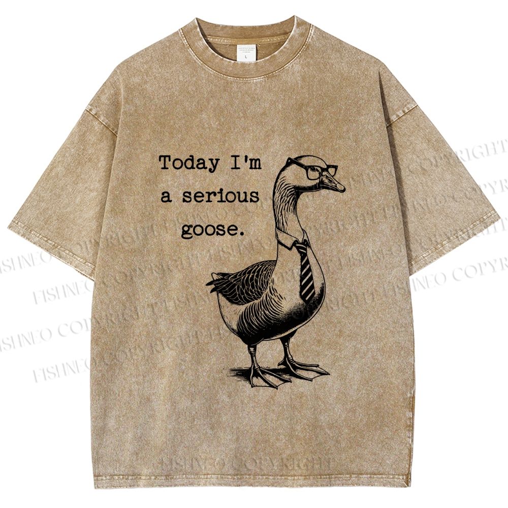 Unisex Serious Goose Printed Washed Tee