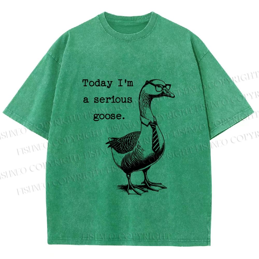 Unisex Serious Goose Printed Washed Tee
